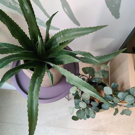 Hola Apartament 阿利坎特 外观 照片