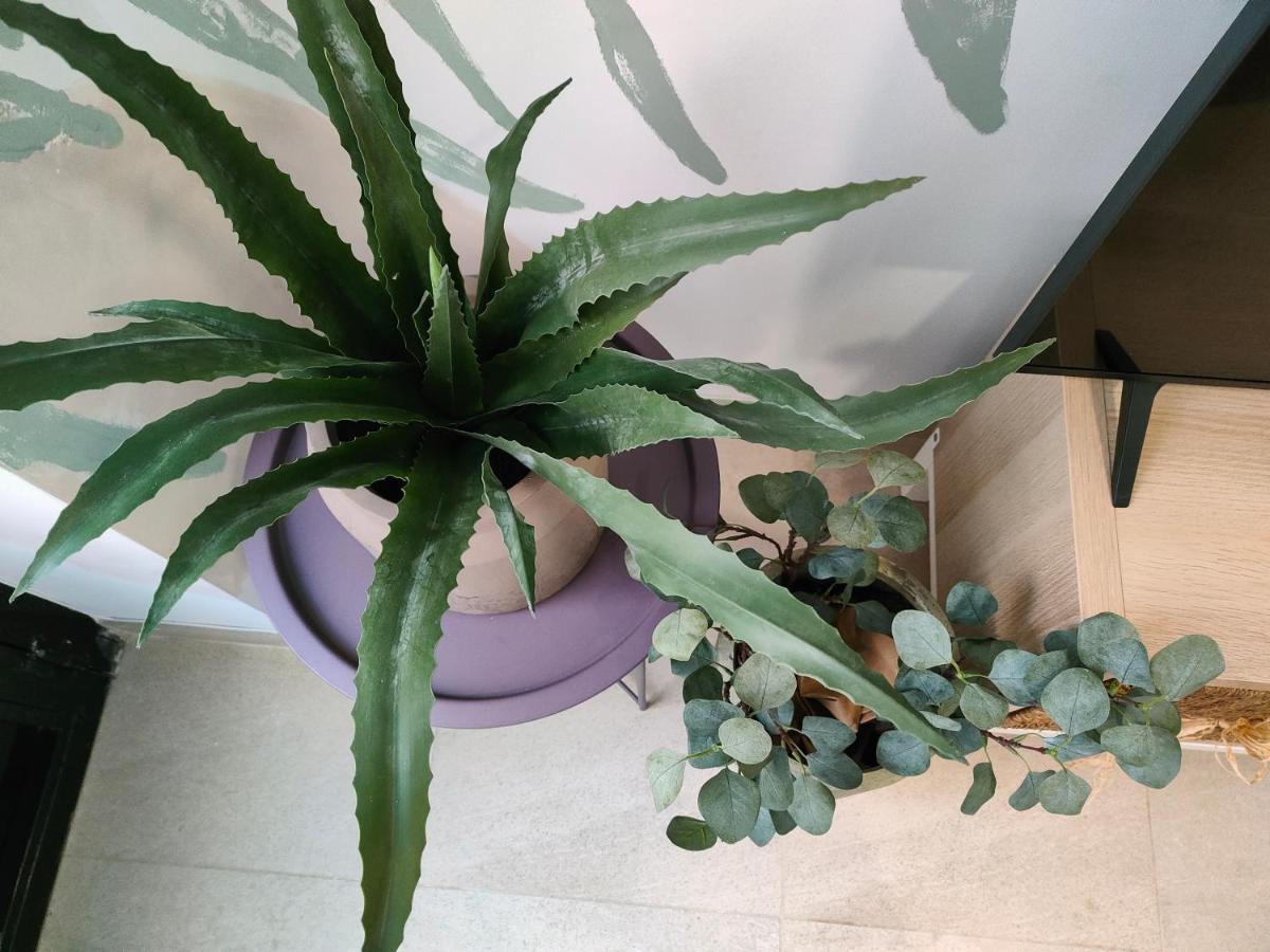 Hola Apartament 阿利坎特 外观 照片